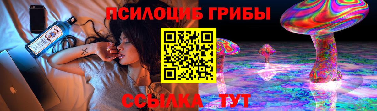 Псилоцибиновые грибы MAGIC MUSHROOMS  где найти   Вход с VPN  Рассказово  Галлюциногенные грибы GOLDEN TEACHER 