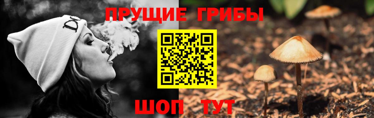 Псилоцибиновые грибы мухоморы Рассказово